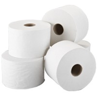 Leonardo Versatwin 2ply toilet roll 1x24 rolls 